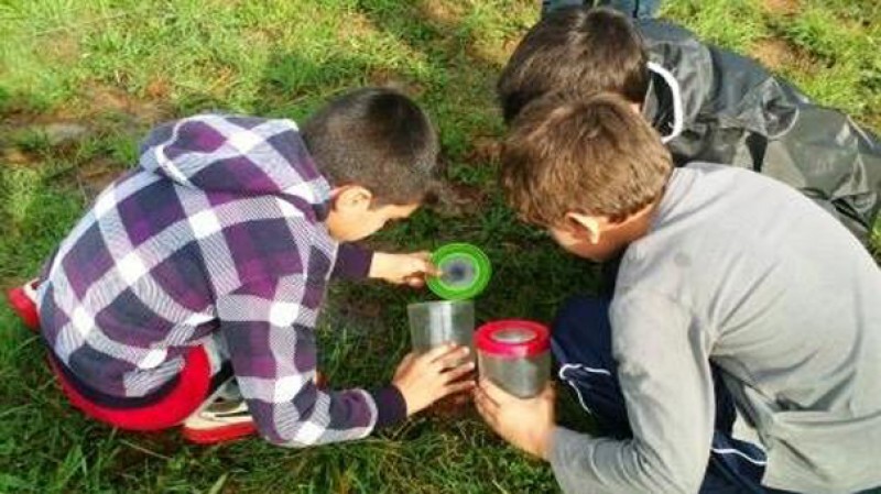 Las colonias, escuelas de medio ambiente