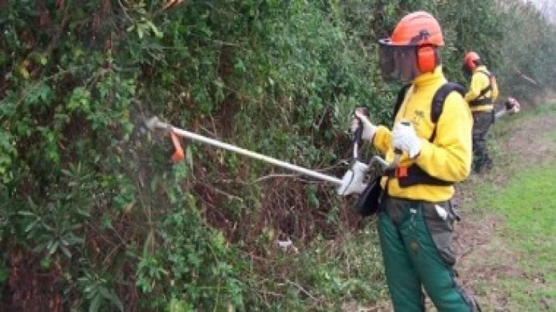 Prevenció de riscos laborals amb Previntegral