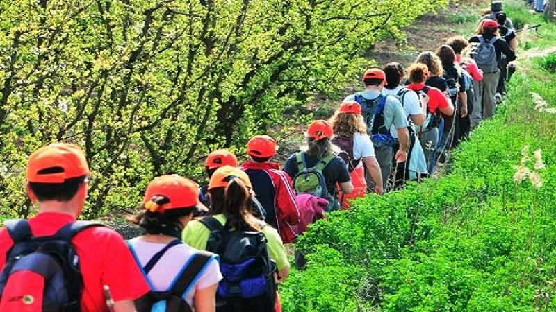 Increment dels joves i infants que participen en les activitats d'estiu