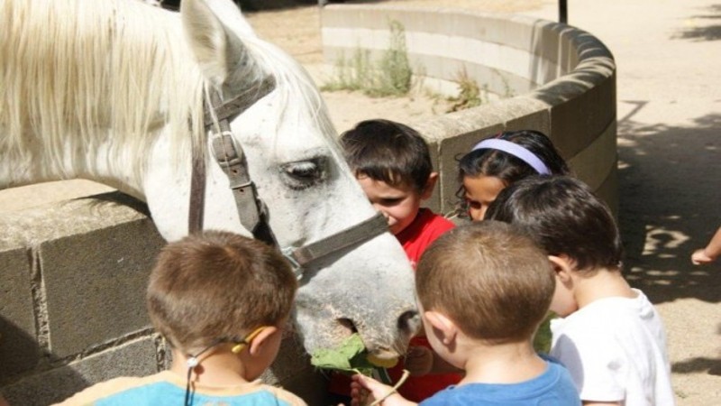 Les colònies escolars truquen a la porta