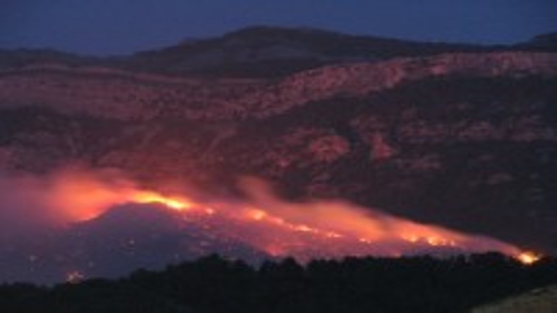 Prohibició de fer foc al bosc