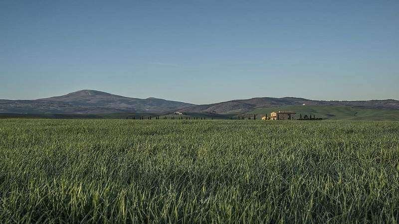 El Govern aprova el Decret del Registre de Finques amb Iniciatives de Conservació del Patrimoni Natural i la Biodiversitat